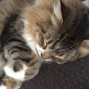 Meet your Posher, Melissa